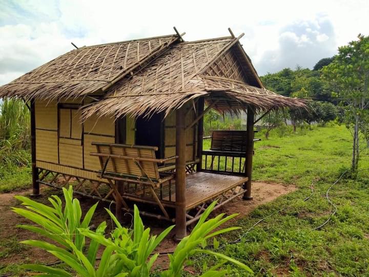 Kookkhai ผู้ชายสายเทา tweet media