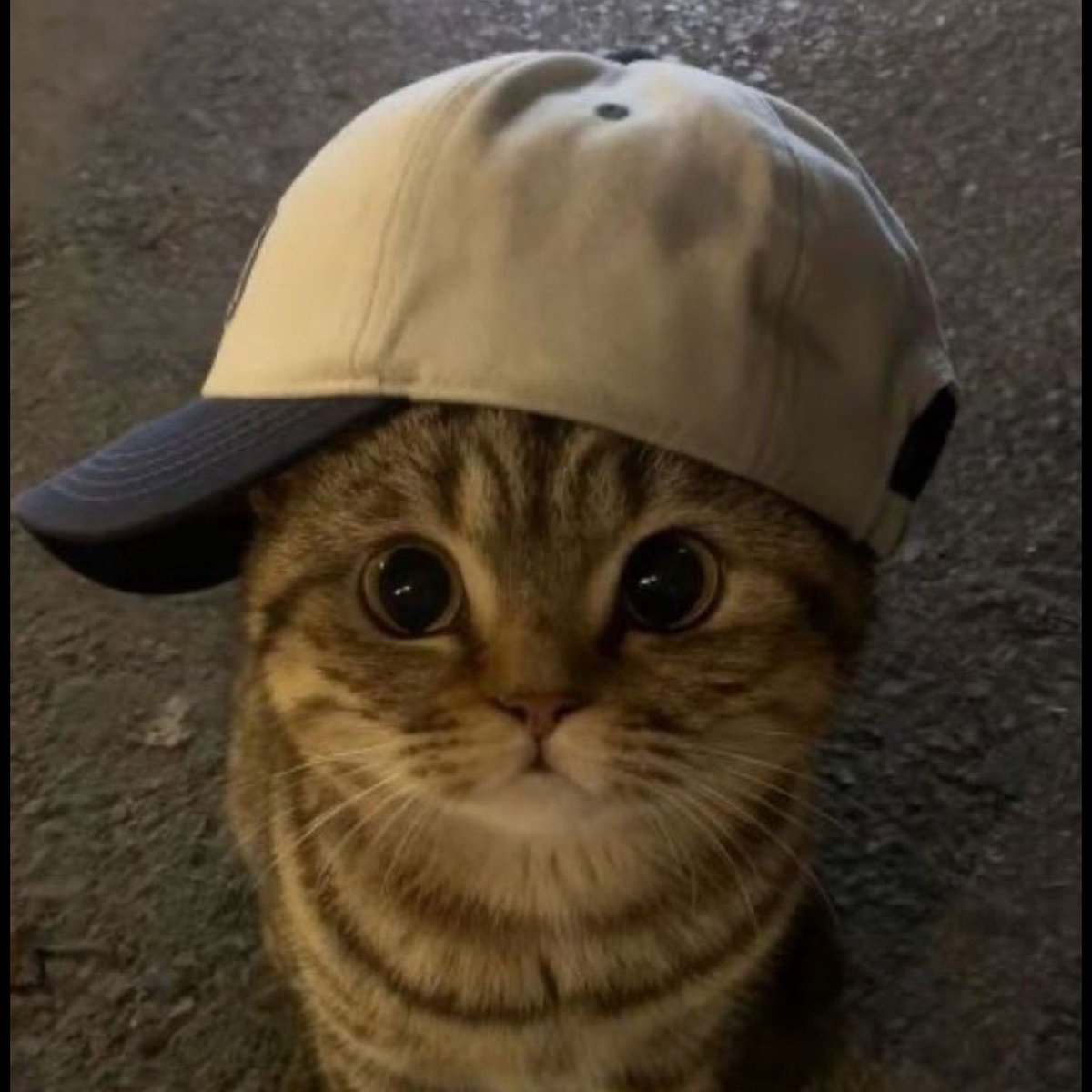 ชินจังงัง ´ ㅅ` tweet media