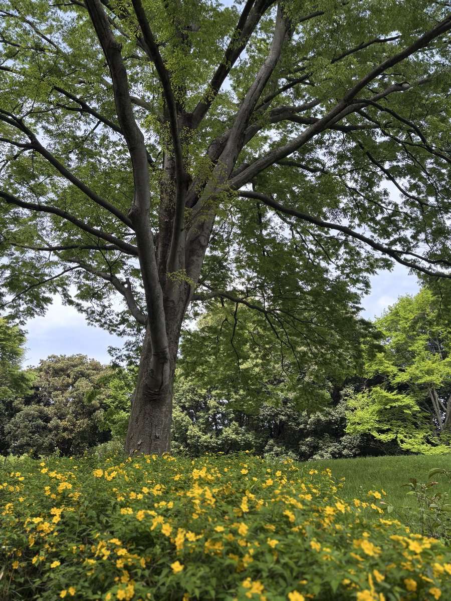 みいしゃ tweet media