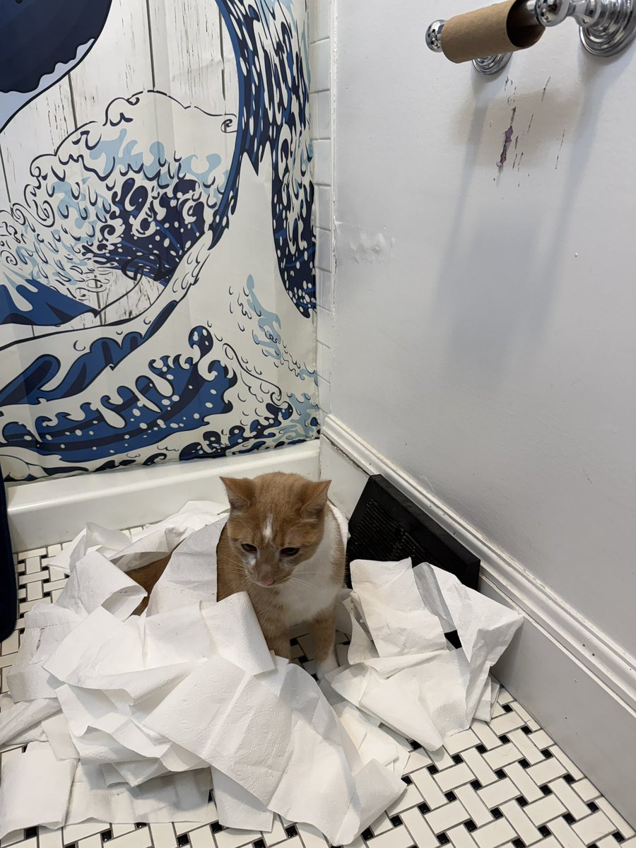 Andrew Hilary🇵🇸 tweet media