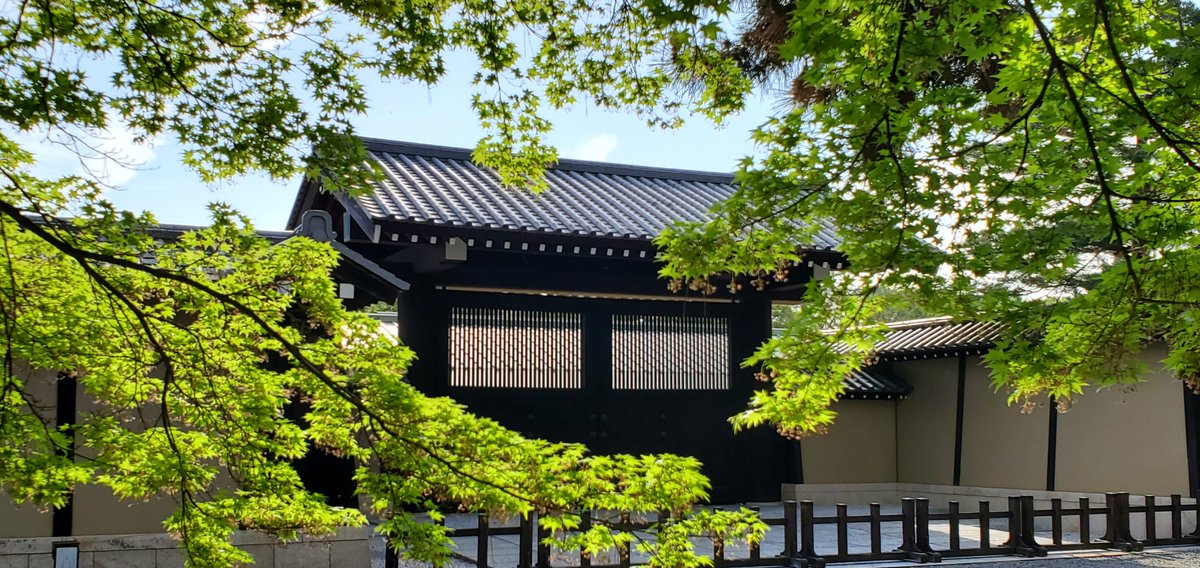 Kyoto_Geihinkan's tweet image. 【一般公開実施中】

＼✨当日整理券✨／先着順で配布中
全ての回でご用意しております

ご希望のお客様は受付場所の清和院休憩所まで
お早めにお越しください

#京都 #ガイド #kyoto #kyototrip #kyotojapan  #kyototravel