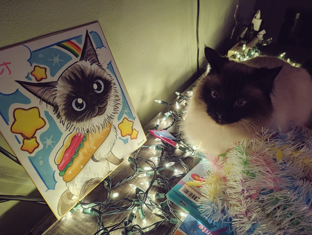 My fav souvenir of the trip - from Yokohama Cosmo World. 

Been waiting for an opportunity for him to sit next to the portrait to take this photo lol