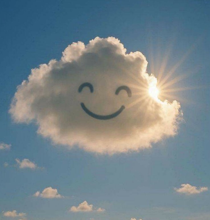 dawnclark6's tweet photo. My posts are not great 
I don't have new followers lately ...
But I still show up everyday 🌞 I wish you a happy day 🌙 https://t.co/pPOf7bmrYU