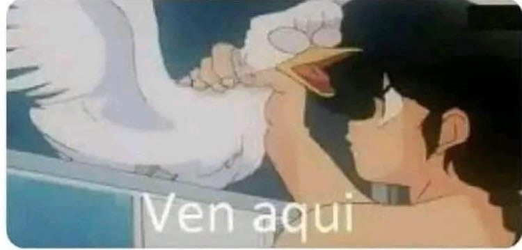 Nicolás tweet media