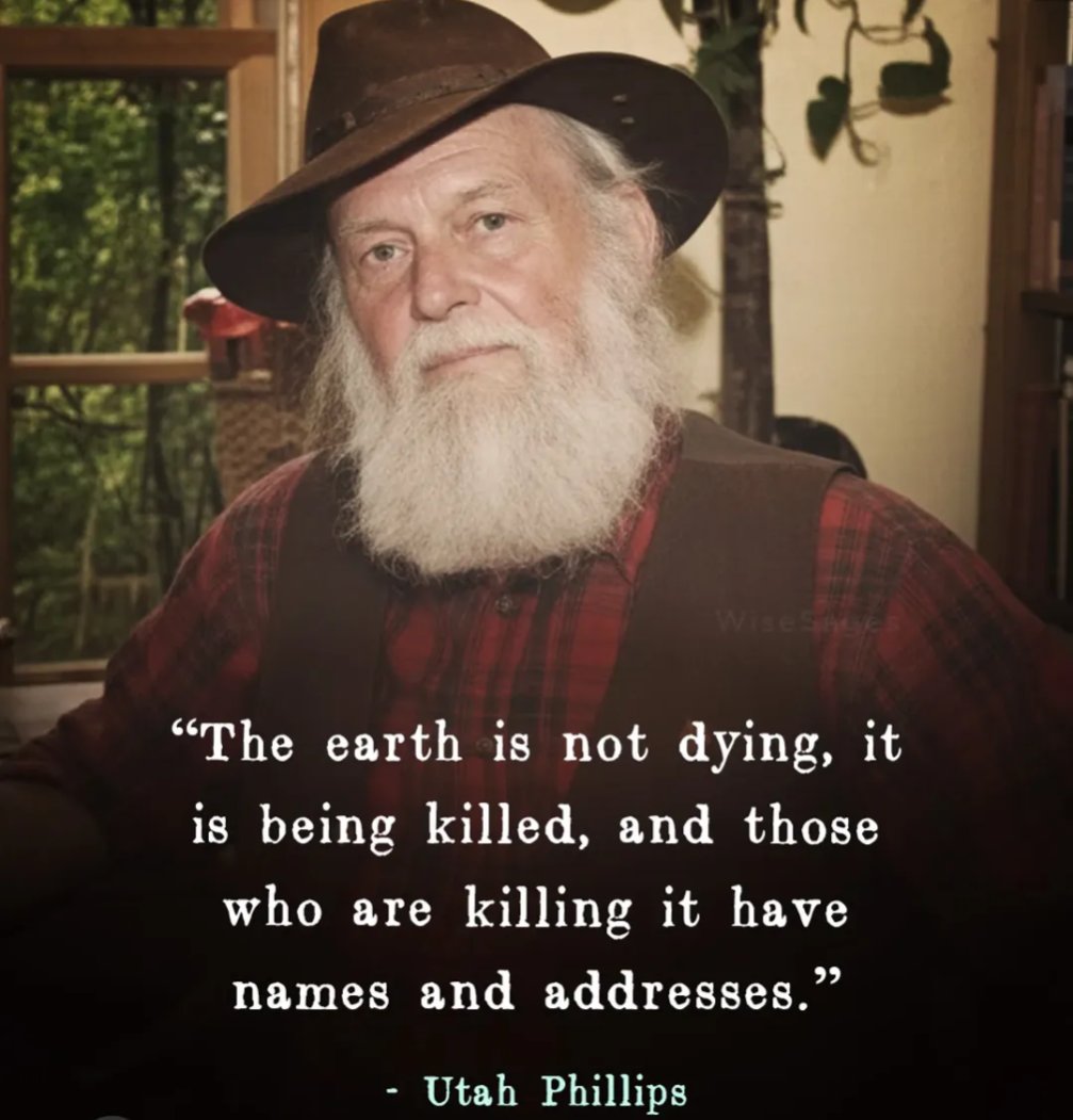 Crypto Guerrilla tweet media