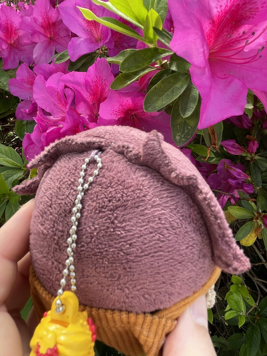 歌音（かのん） tweet media