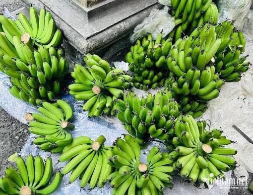 Nhạn Đào | Aurora tweet media