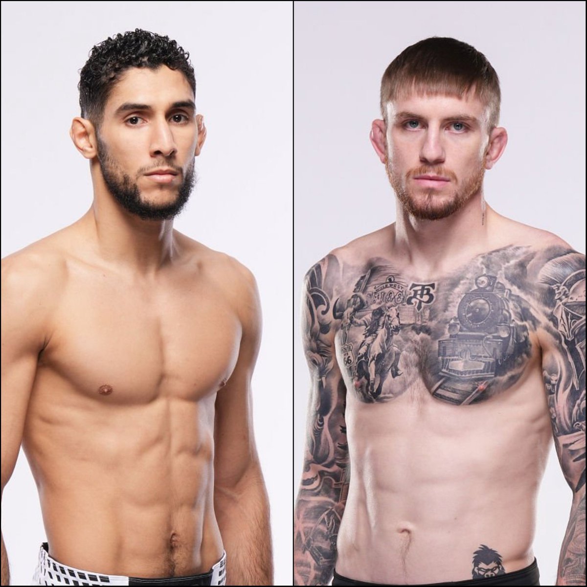 Marcel Dorff 🇳🇱🇮🇩 tweet media