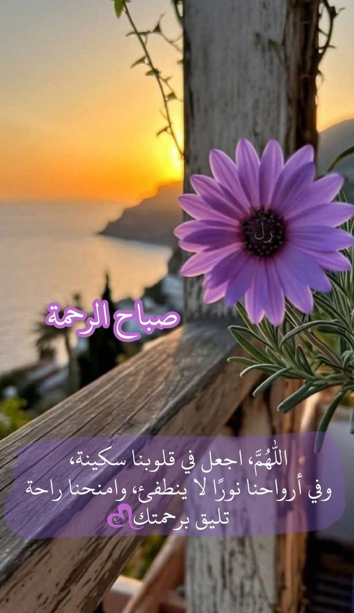 مُـــنى 💎 tweet media