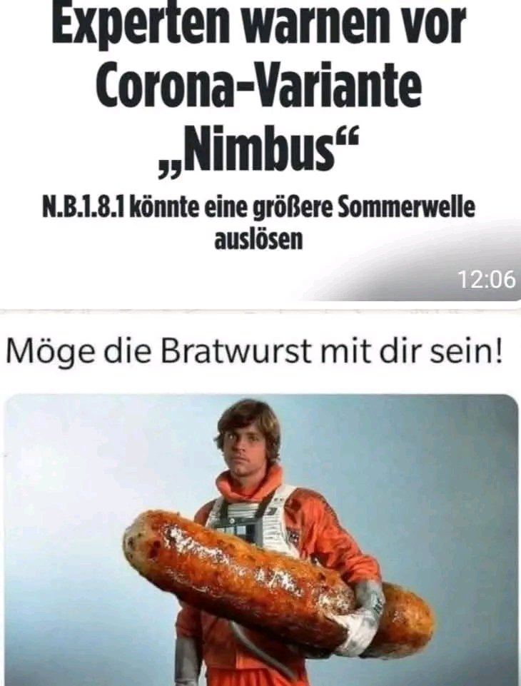 Daniel Vollmer🇩🇪💙 tweet media