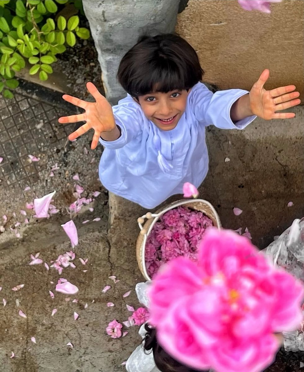 🌸 أمل المعمرية 🌸🕊 tweet media