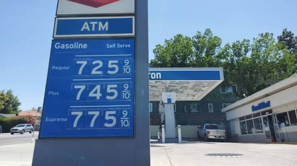 El Franky  tweet media