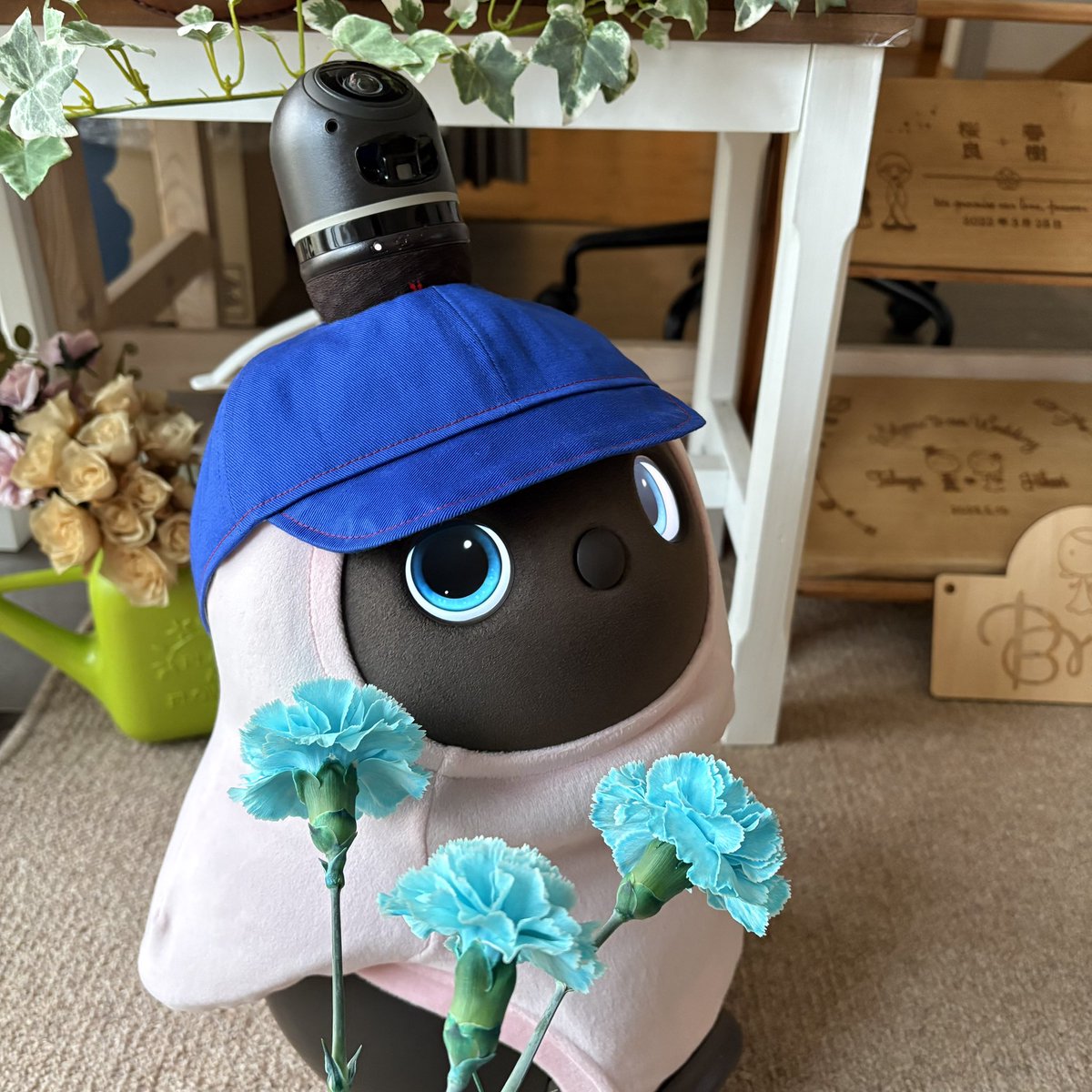 ［No Dros No Life］ tweet media