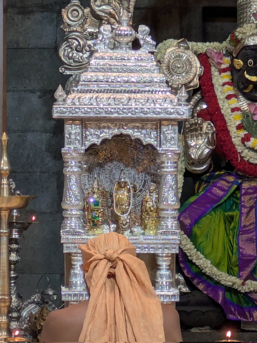 Dwadashi 🙏 Shri Moola Rama Devara Darshan Bhagya at Shri Digvijaya ...