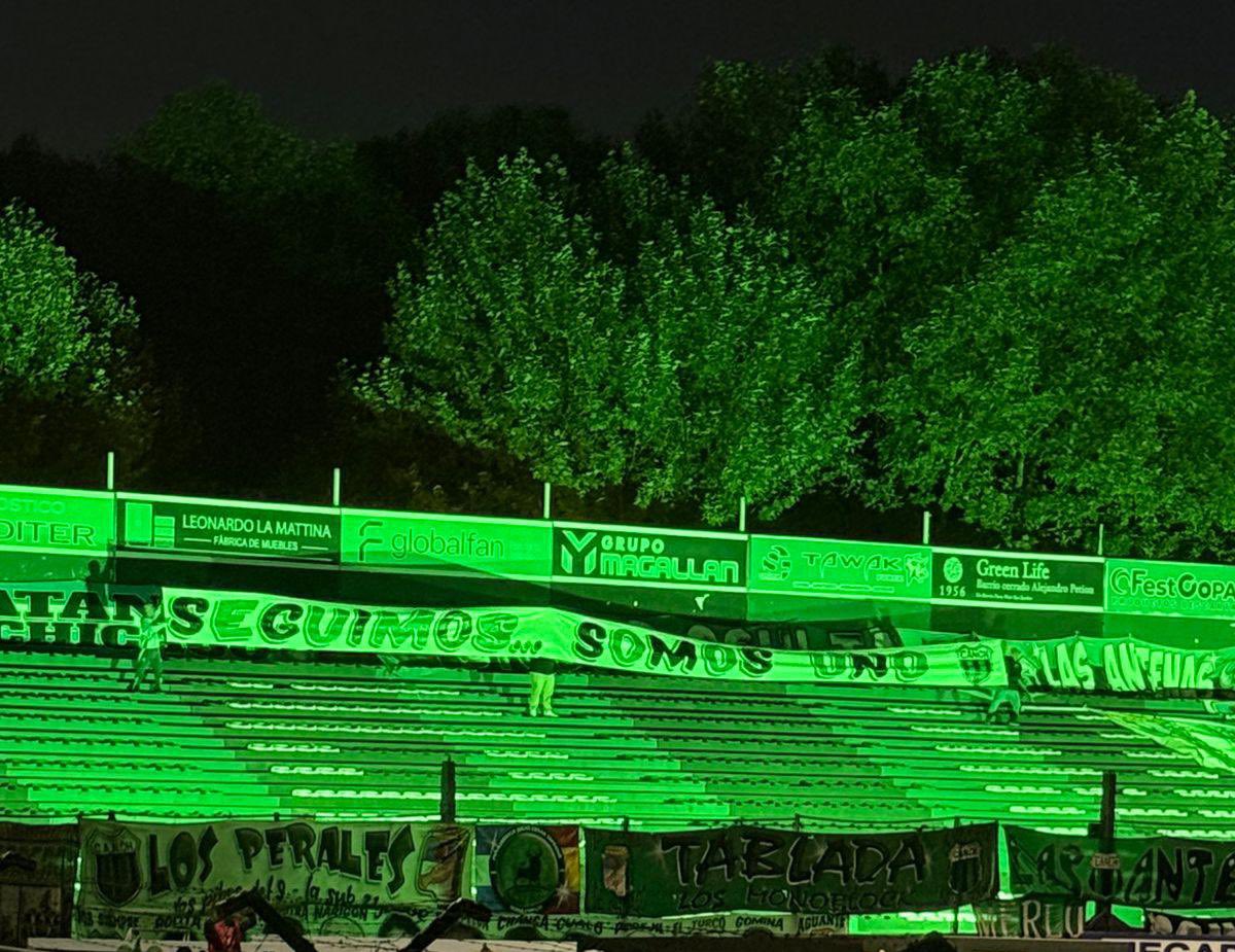 Seguimos sumando 🖤💚