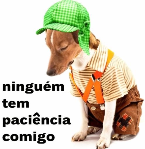 Shitpost só que de verdade (@shitpostverdade) on Twitter photo 
