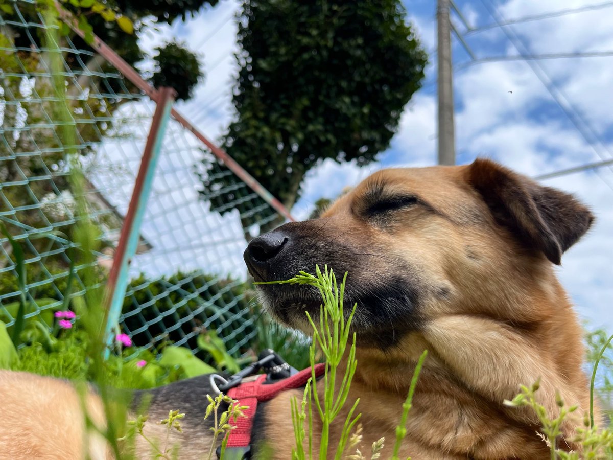 【言葉が】閲覧非推奨垢【汚い】 tweet media