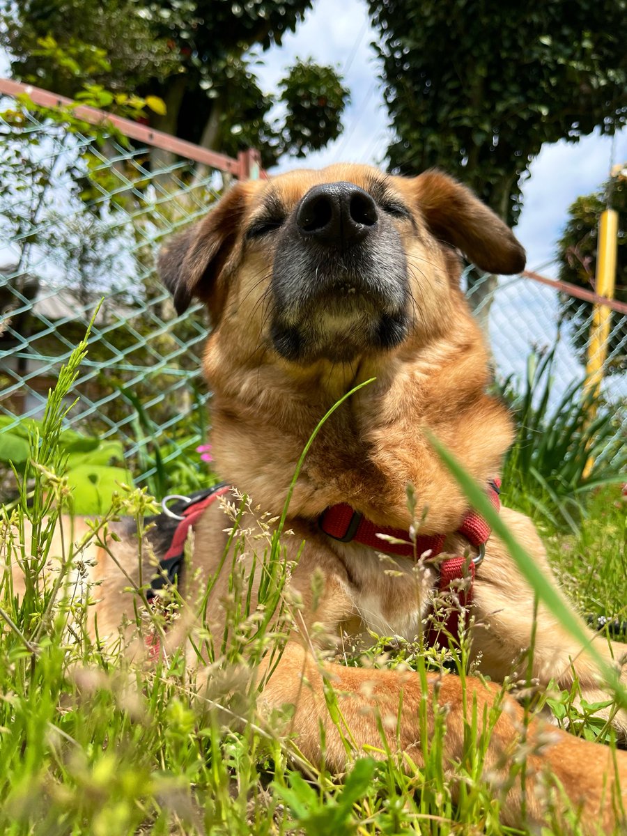 【言葉が】閲覧非推奨垢【汚い】 tweet media