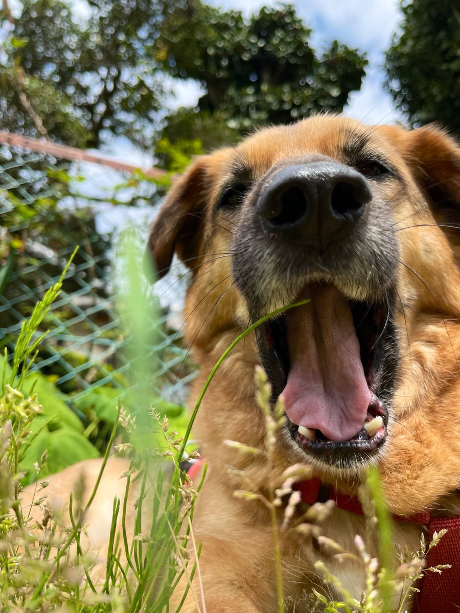 【言葉が】閲覧非推奨垢【汚い】 tweet media