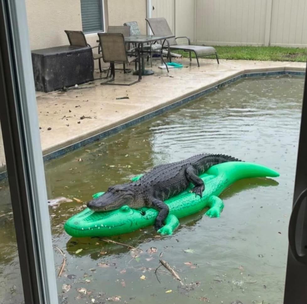 Earth Is A Sales Funnel For SATAN tweet media