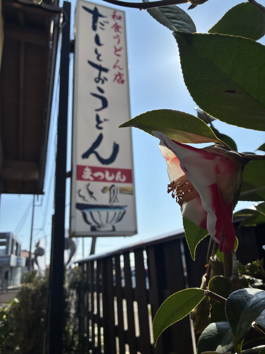 だしとおうどん まつしん tweet media