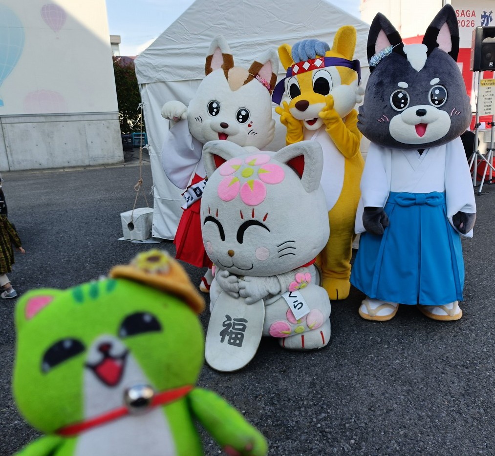 のらねこくん tweet media