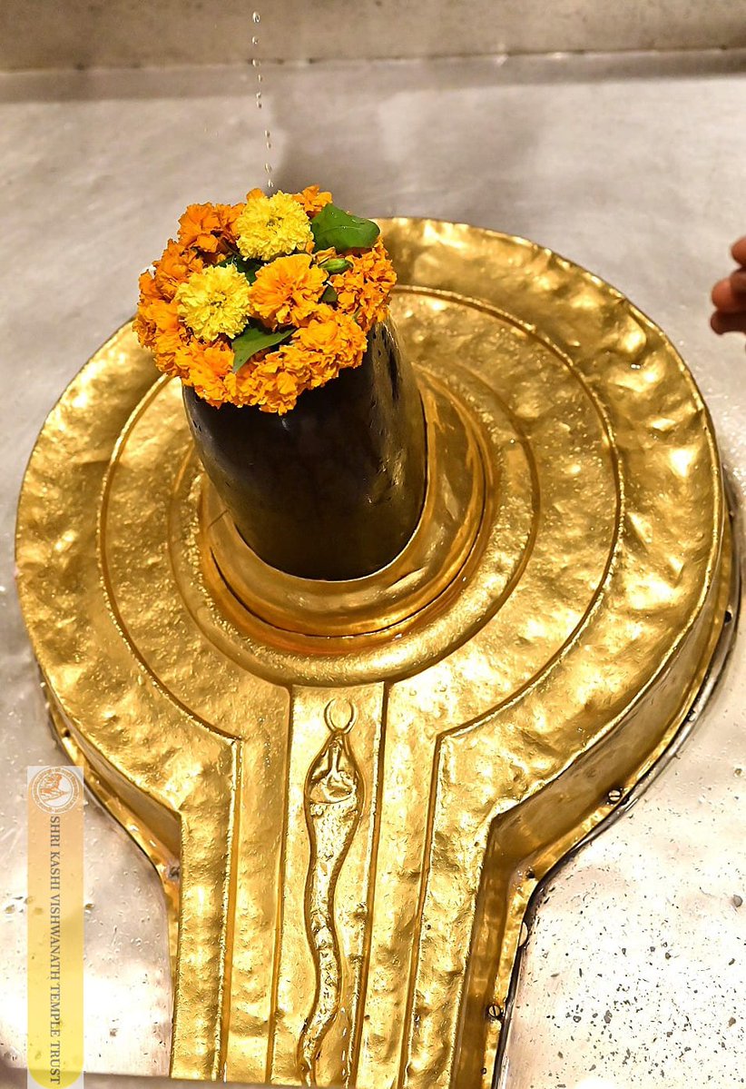 Shri Kashi Vishwanath Temple Trust tweet media