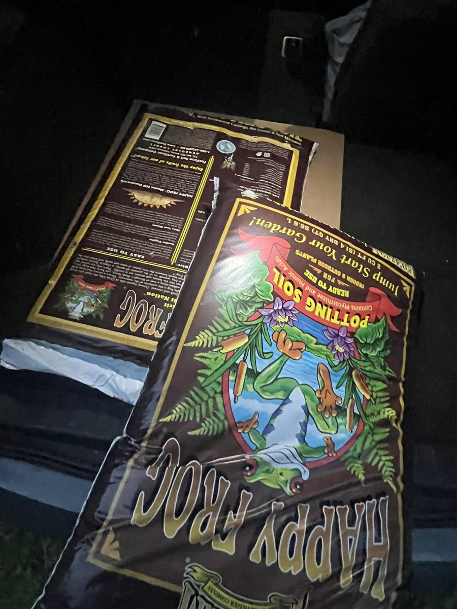 NovaWorldX's tweet photo. Got the soil ready thinking 2 more bags 🤔 thinking massive yields 🌲

#weedtwt #420twt #growityourself #420growit #cannabis #cannabiscommunity https://t.co/tY9J9KmVrk