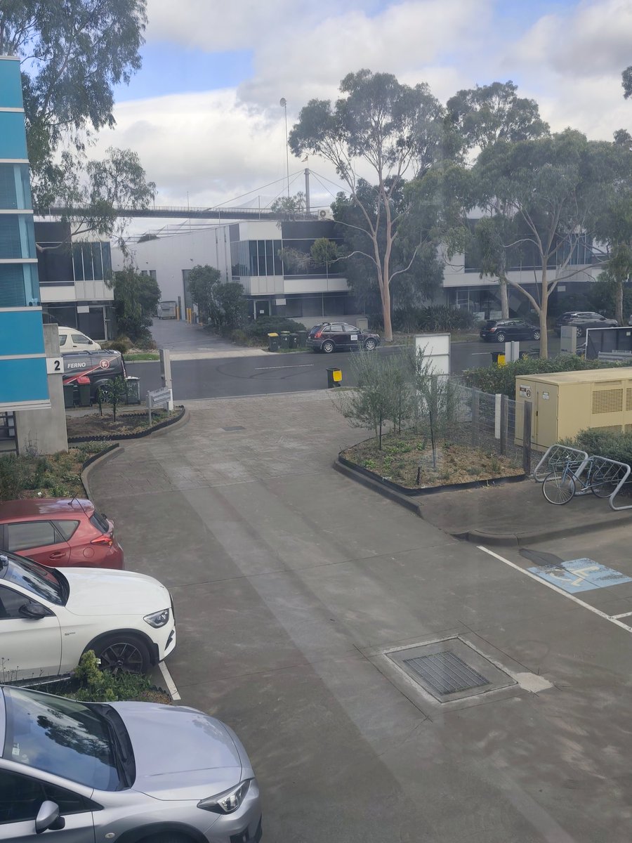 Amp Kanin | Digital Nomad Dad tweet media