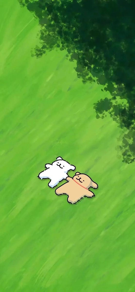 ShanxiTimes's tweet image. Wallpaper upgrade. 🔄
【#wallpaper 】Sharing some super cute wallpapers for your phone! Feel free to save them. 📱✨
#Maltese