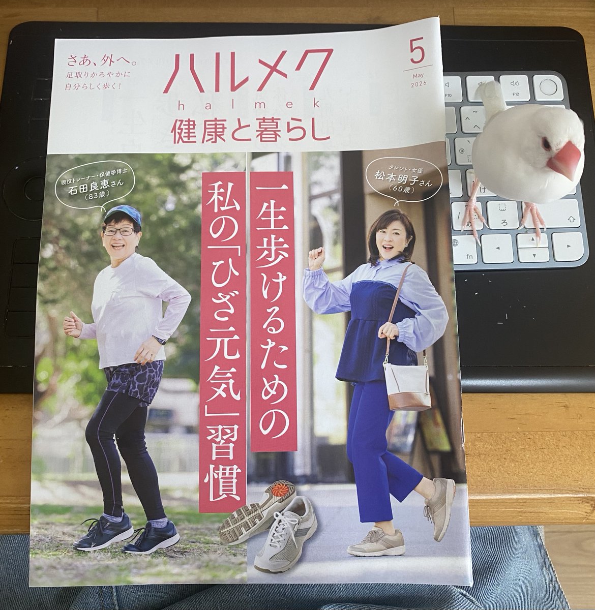 中島慶子 tweet media