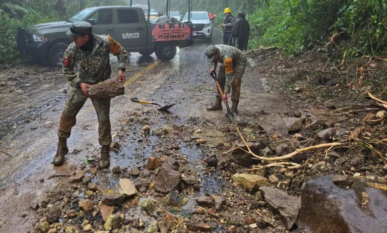 NewsHidalgo tweet media