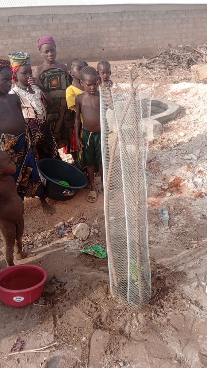 Buildawell_wtnf's tweet image. #PlantAtree