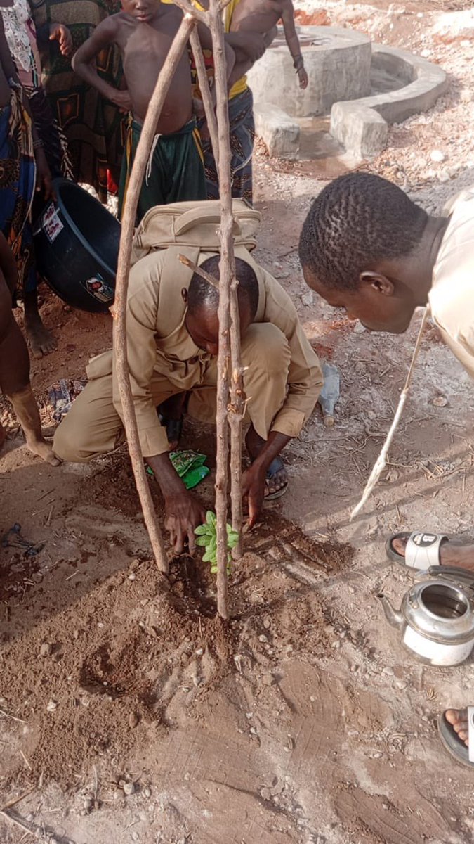 Buildawell_wtnf's tweet image. #PlantAtree