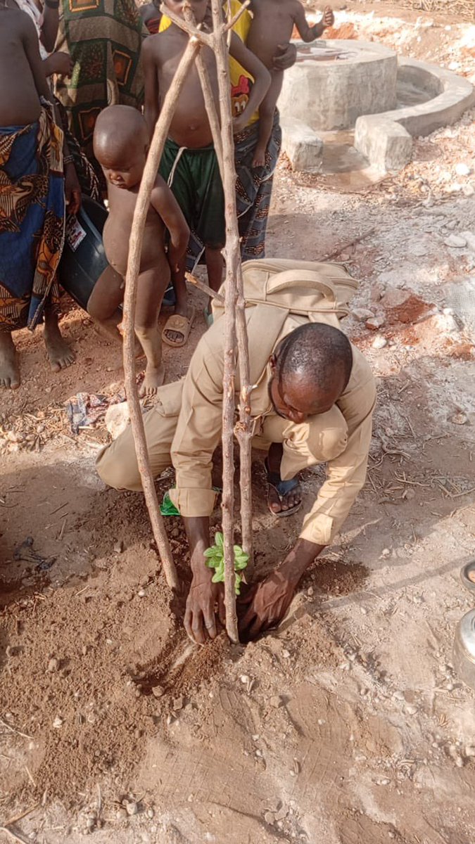 Buildawell_wtnf's tweet image. #PlantAtree