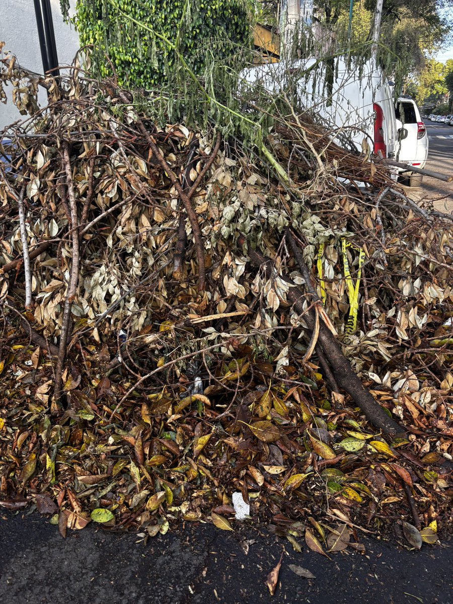 AzminPlatas tweet media