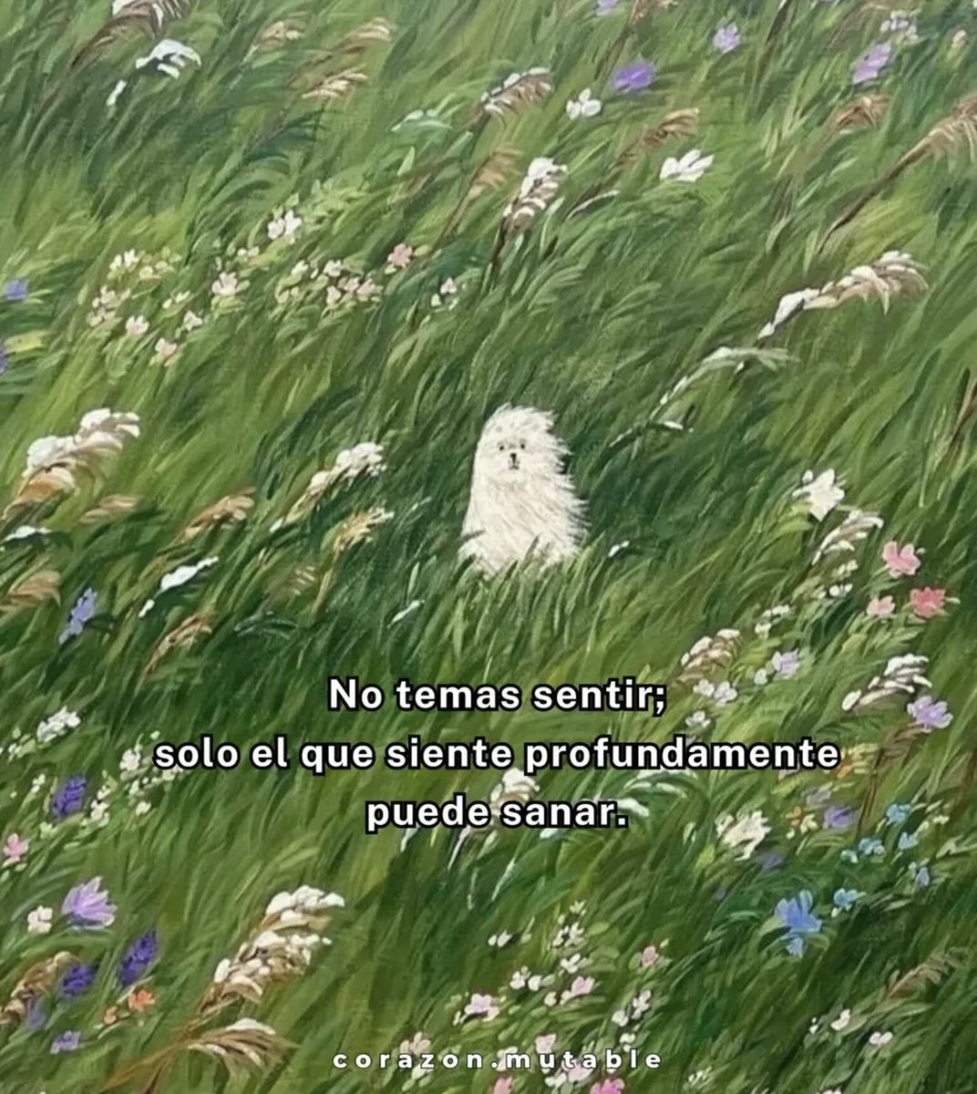 DiloConPerritos's tweet photo. https://t.co/72kwBWlgzn