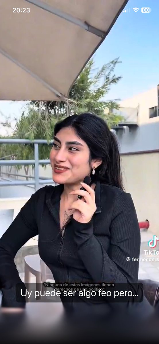 perrito inside tweet media