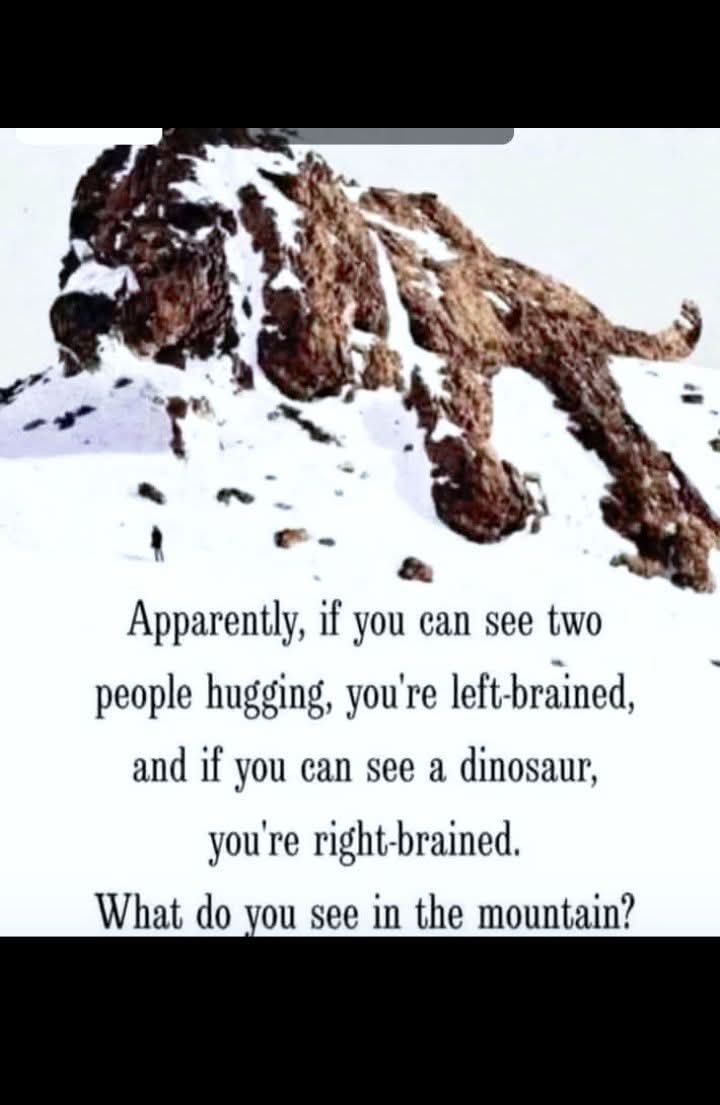 Science And Nature tweet media