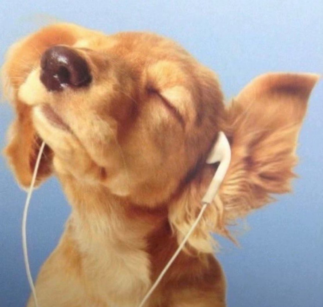 andrés. tweet media