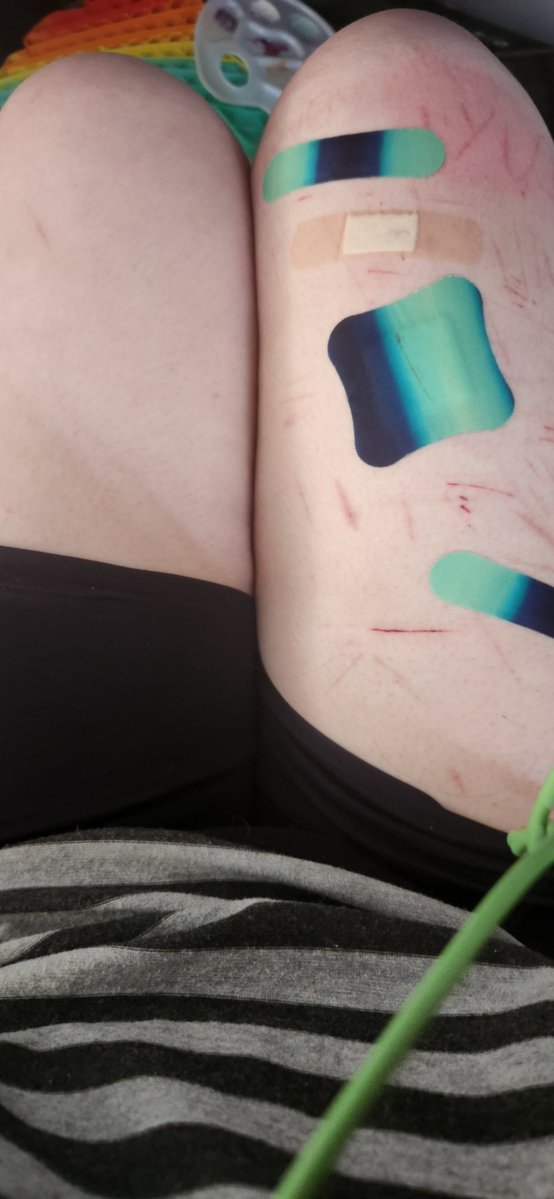 ~ sori | shedtwt tweet media