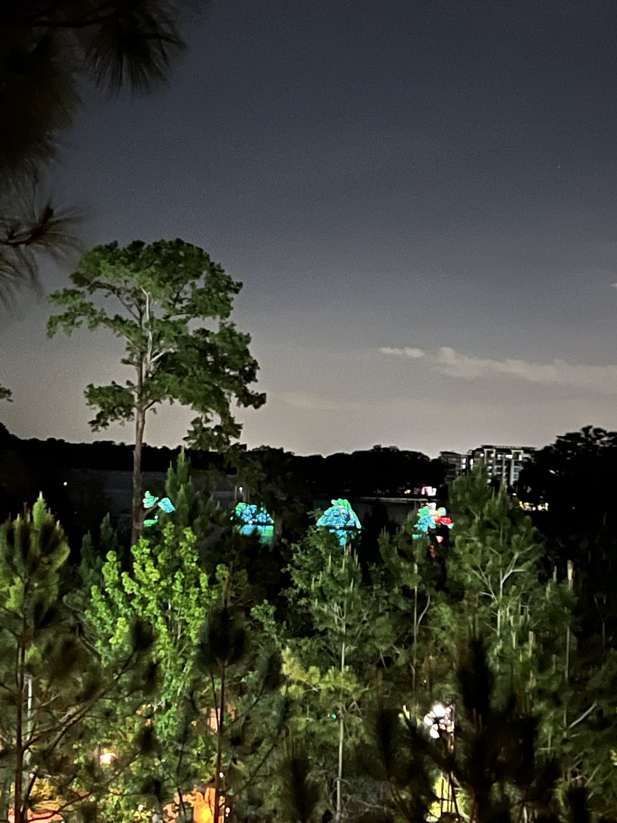 Bob Dankese tweet media