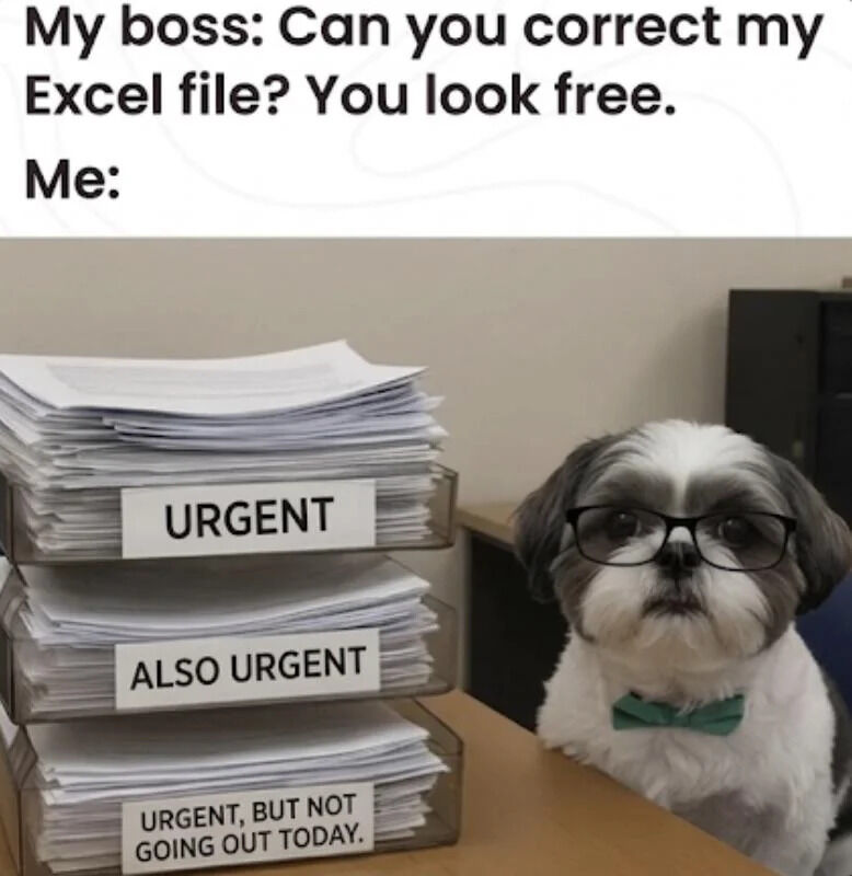 WholesomeMemes (@wholesomememe) on Twitter photo 