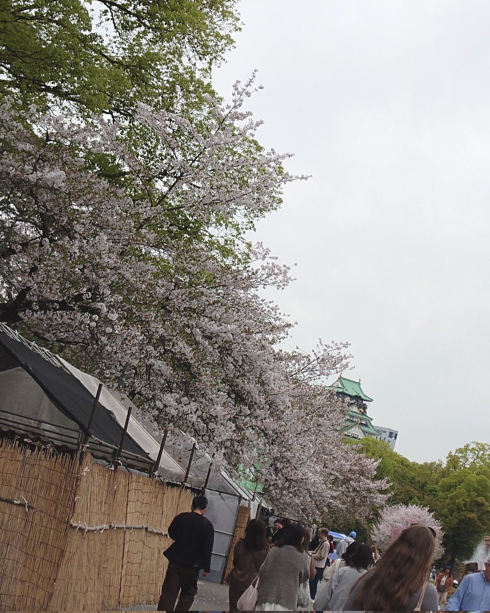 TAKA-KAJI tweet media