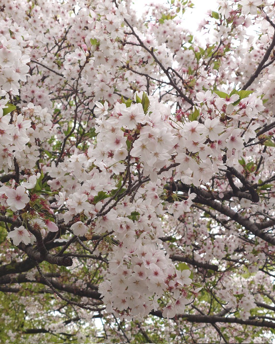 TAKA-KAJI tweet media