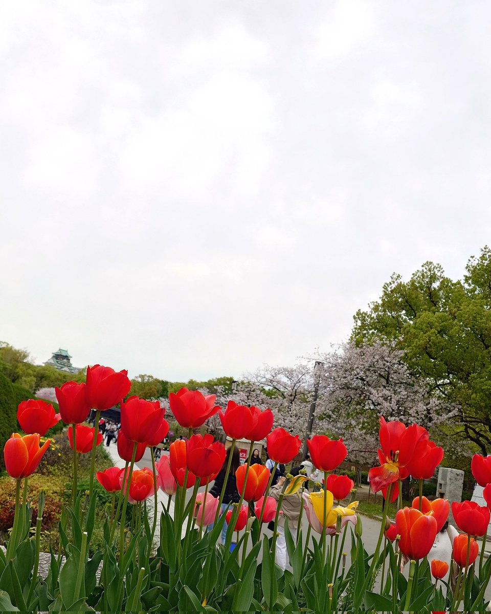 TAKA-KAJI tweet media