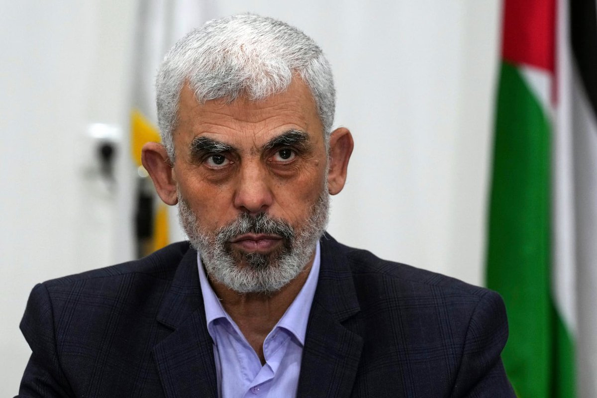 Ayman Khaled أيمن خالد tweet media