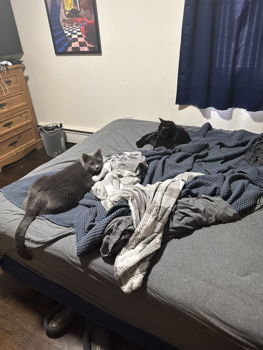 Arthur Kerins tweet media