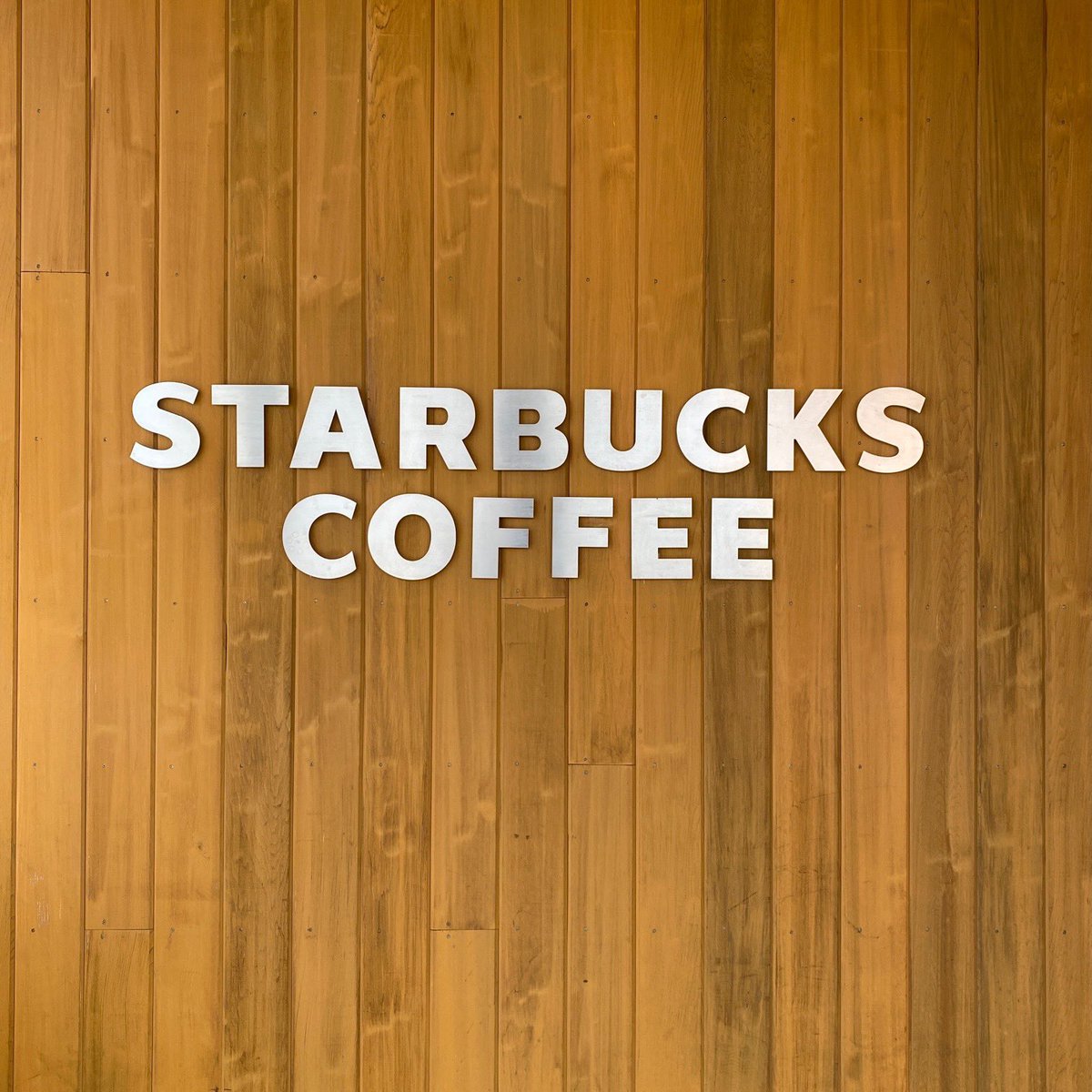 nacky3150's tweet photo. 春に向かう中のCafe Time!久しぶりの訪問での心温まる癒し時間に感謝。#Starbucks #帯広稲田店 #2026Spring #30周年 #THEフラペチーノofメロンofメロン https://t.co/DDzACwgs0o