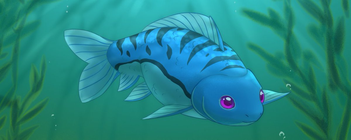 StellahFish's tweet photo. @fluffygirlpaws i love being a Carp! blublubblubblub! https://t.co/DhSCQDNYIx